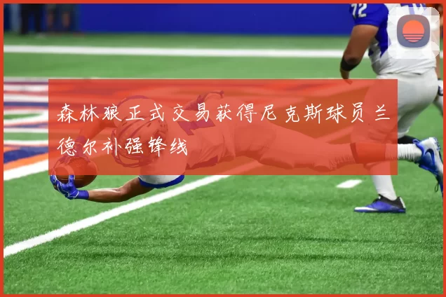 森林狼正式交易获得尼克斯球员兰德尔补强锋线