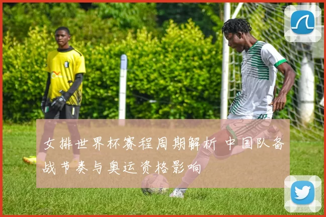 女排世界杯赛程周期解析 中国队备战节奏与奥运资格影响