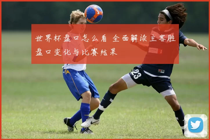 世界杯盘口怎么看 全面解读主客胜盘口变化与比赛结果