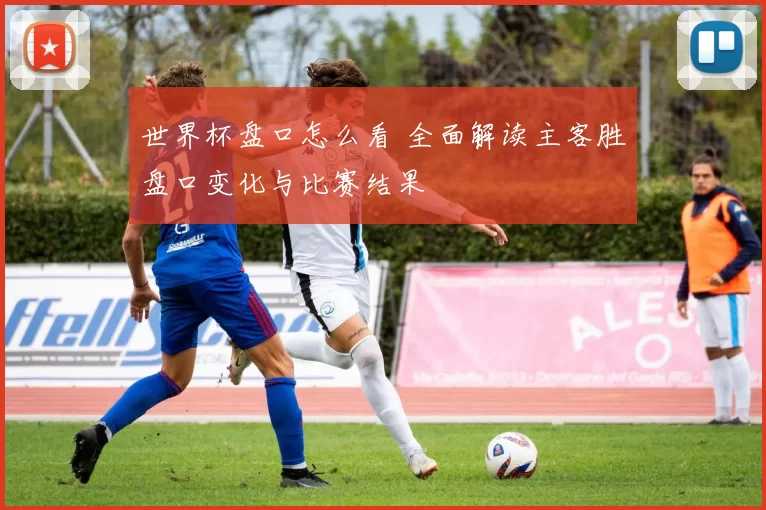 世界杯盘口怎么看 全面解读主客胜盘口变化与比赛结果
